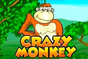 Crazy Monkey